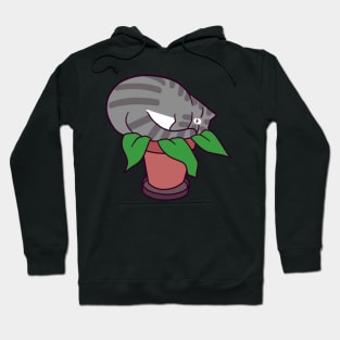 Potted Cat Plant Hoodie
